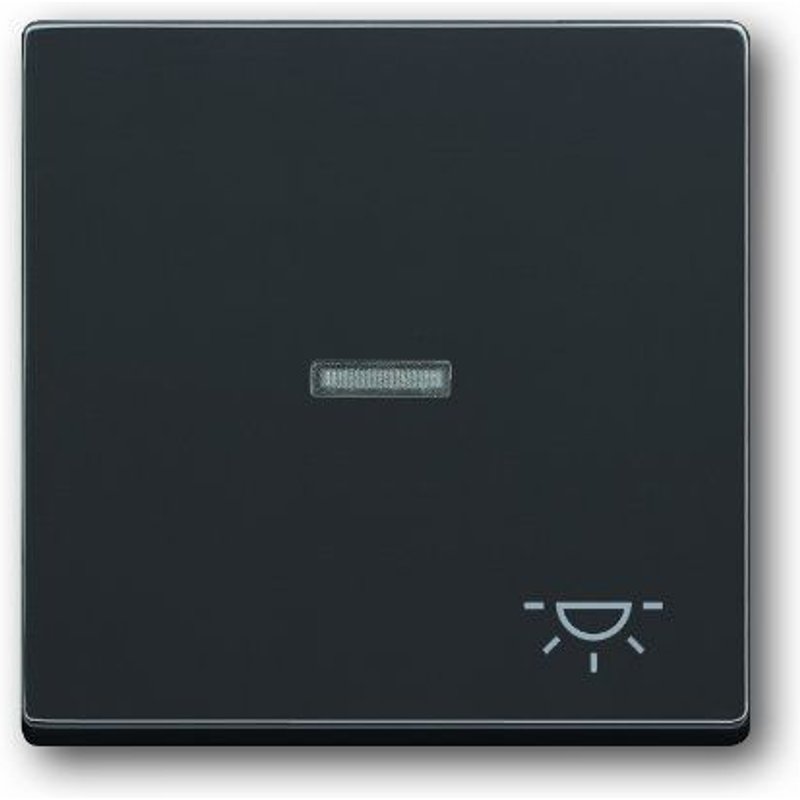 Busch-Jaeger 1789LI-81 Plaque de recouvrement, bouton-poussoir, symbole 'lumière' , anthracite, solo