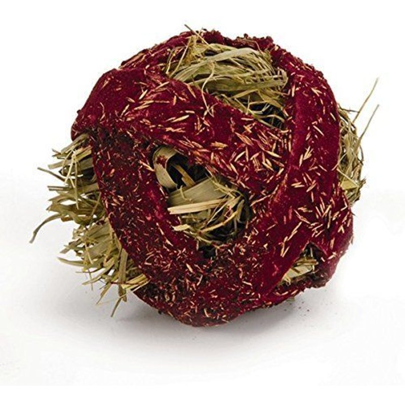 Quiko Fitness Foodball Betterave Rouge 100g - Snack Et Jeu Pour Oiseaux