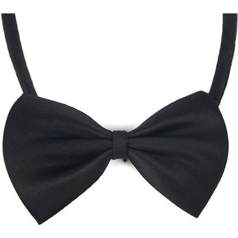 Noeud Papillon Pour Animal De Compagnie Chat Et Chien Déguisement Noir