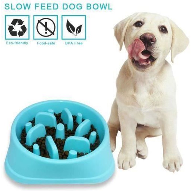 Epetop Gamelle Pour Chiens Anti Glouton - Bleu Xuni2613