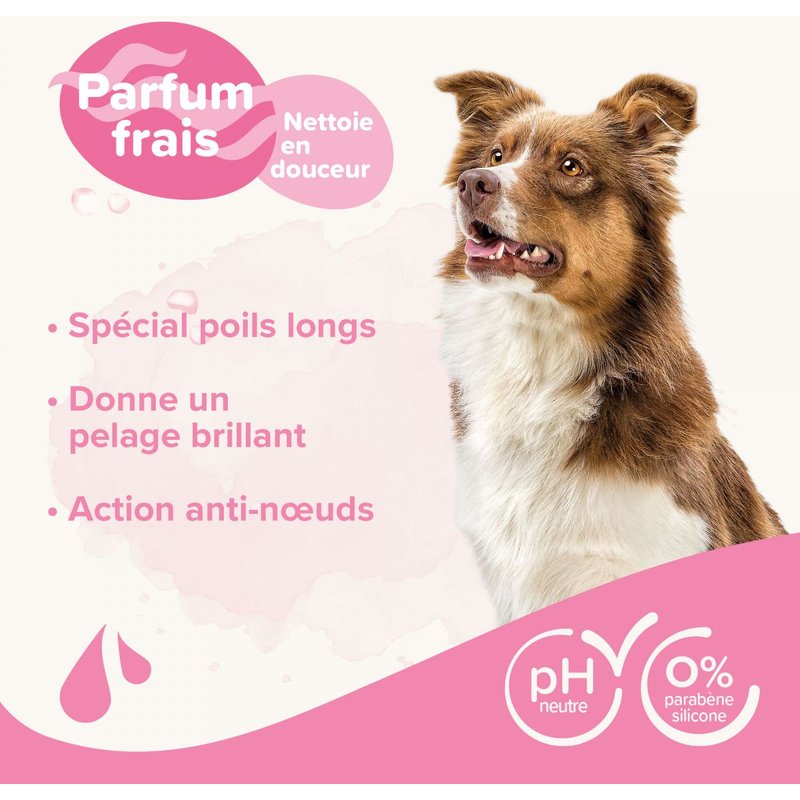 Shampoing Essentiel Pelage Long Pour Chien À L'aloe Vera Et Huile D'amande Pour Chien