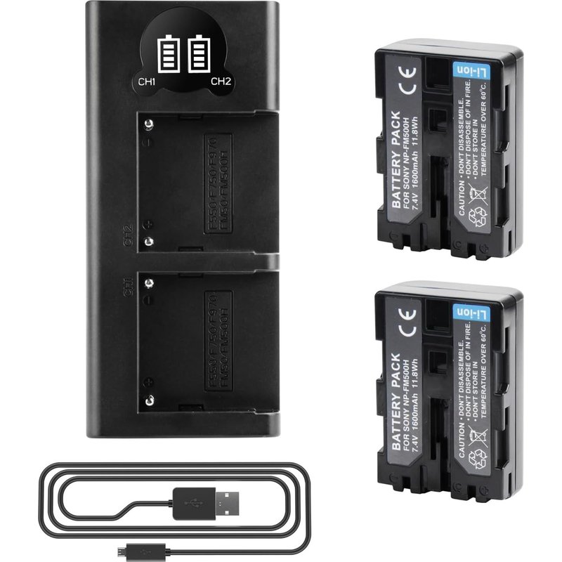 2 X NP-FM500H Batterie de Rechange et Chargeur Double Compatible avec Sony A57 A58 A65 A77 A100 A200 A200W A300K A300X A350 A350H A350X A450 A500 A550 A560 A580 A700K A700Z A850 A900 ILCA-77M2