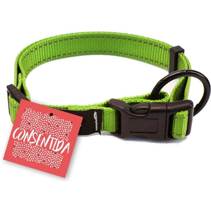 Consentida Collier De Sécurité Pour Chien Moyen T2 - Taille M 28-45 X 1 5 Cm - Uni - Vert Fluo - Tissu Lisse Et Résistant - Avec Anneau Supplémentaire