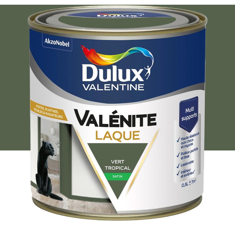 Laque acrylique Valénite Dulux Valentine vert tropical satin 500ml