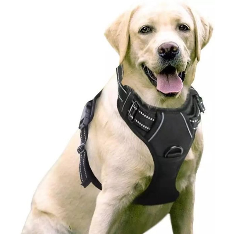 Pounet Harnais Chien Anti Traction Taille M