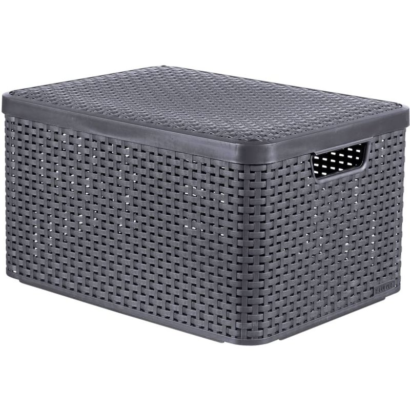 Curver Boîte de rangement avec couvercle Style L 30 L Argent métallisé