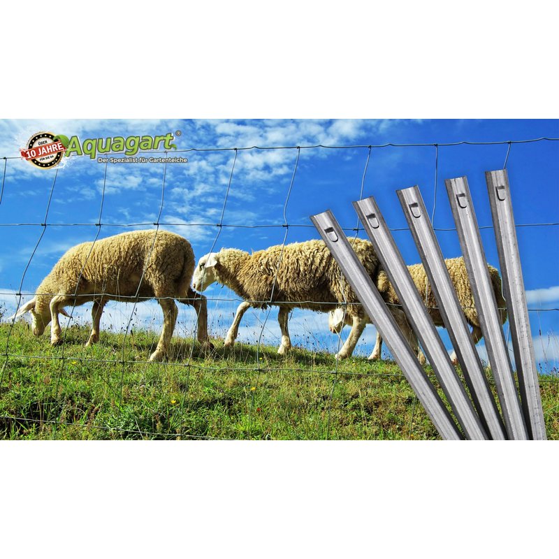 75 ancrages de clôture profil en W, ancrages de sol pour clôture de protection contre la faune sauvage, clôture forestière, clôture de pâturage, 50 cm