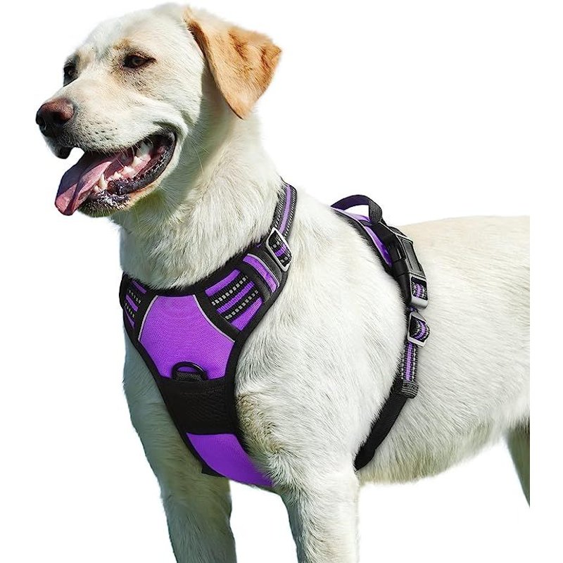Violet, L , Harnais Chien, Harnais Anti Traction Pour Chien Réfléchissant Réglable, Facile À Mettre, Avec Poignée Contrôle, Arnet Pour Chien Respirant, Durable, Harnais Pour Chien Moyen Et Grand