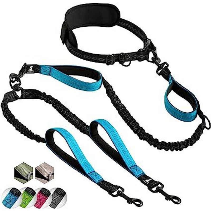 Laisse Mains Libre Pour 2 Chiens Grande Et Moyenne Taille ? Laisse Anti-Traction Avec Coutures Réfléchissantes Pour Chien - Accessoire Chien Pour Le Jogging, La Marche À Pied, La Randonnée, L?Escalade