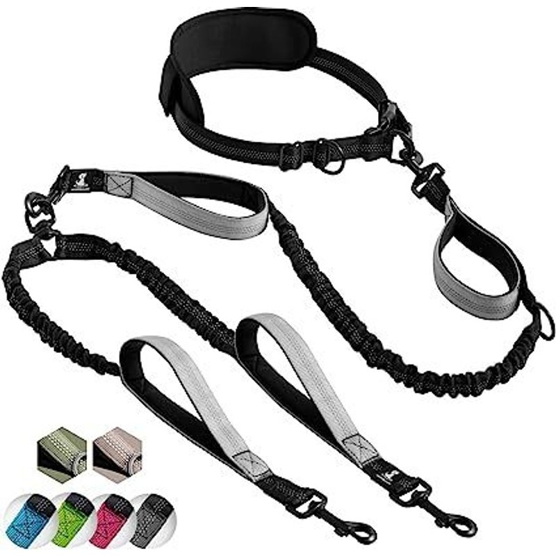 Laisse Mains Libre Pour 2 Chiens Grande Et Moyenne Taille ? Laisse Anti-Traction Avec Coutures Réfléchissantes Pour Chien - Accessoire Chien Pour Le Jogging, La Marche À Pied, La Randonnée, L?Escalade
