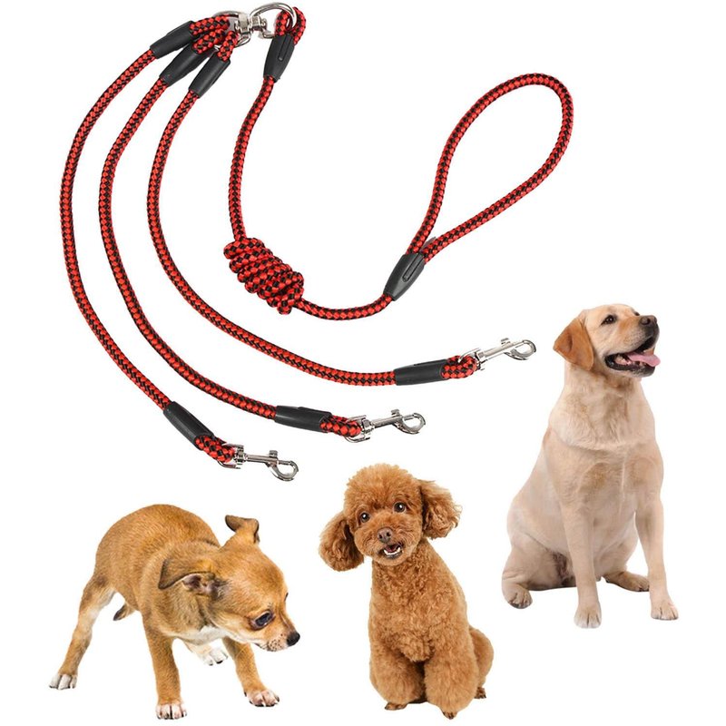 Laisse En Corde Pour Chien, Ceinture Pour Animaux De Compagnie, Marche Pour Grands Et Moyens Chiens