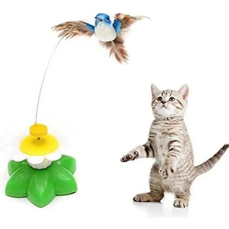 Jouet Lectrique Pour Chat Volant Oiseau Chat Jouets Animaux De Compagnie Interactive Jouets Animaux Drôles Et A