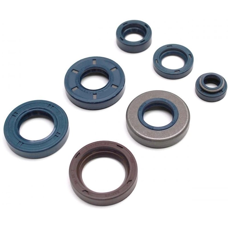 Kit de joints spi moteur Top performances type origine pour am6