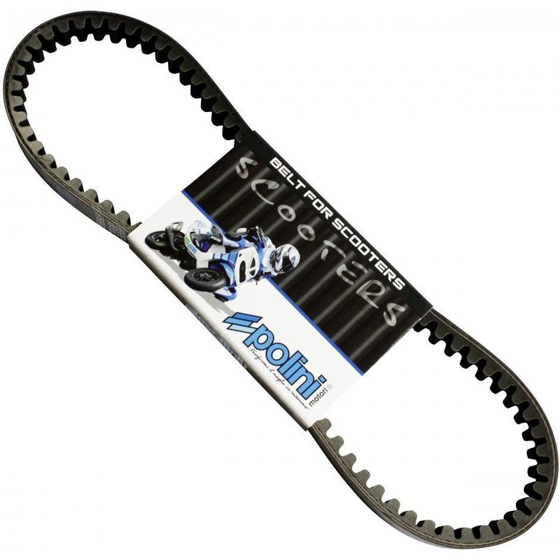 Courroie Polini Peugeot Buxy Ludix