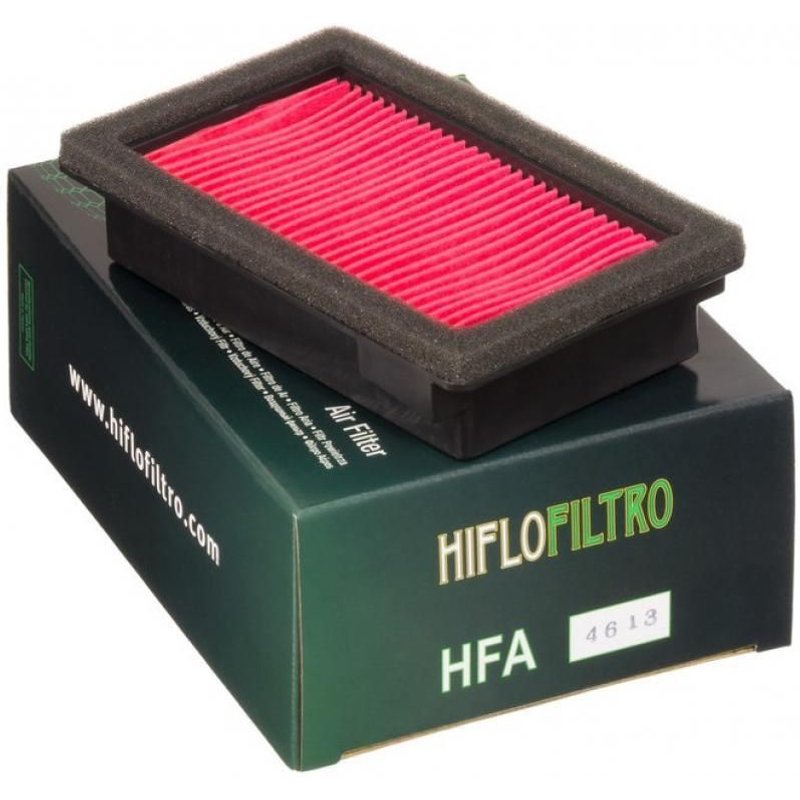 Filtre à air Hiflofiltro HFA4613