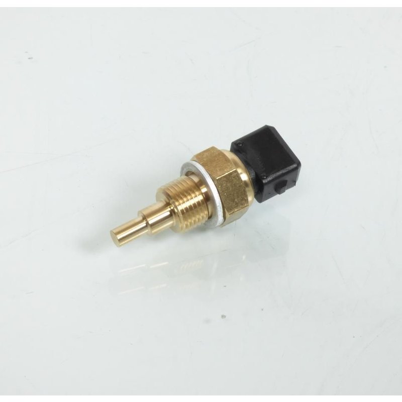 Sonde de température Teknix pour moteur AM6