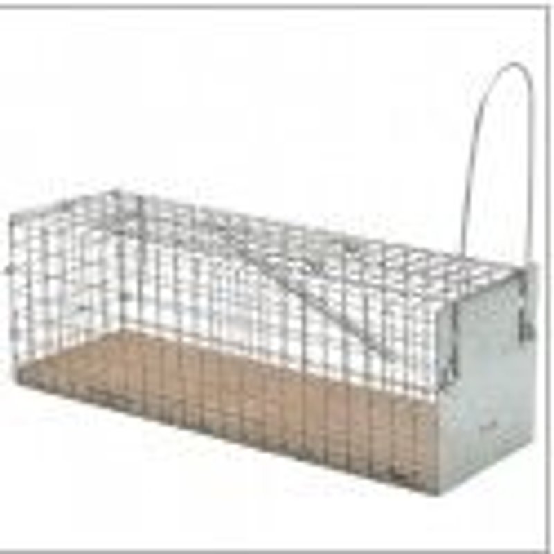 Nasse à souris socle bois CAUSSADE