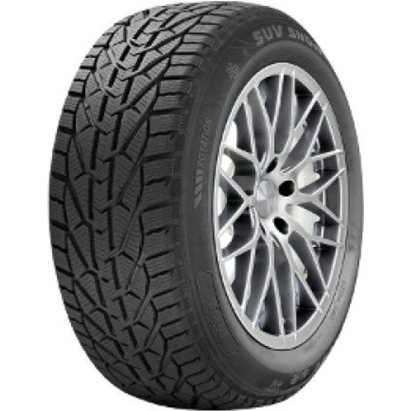 Pneu Riken SUV Snow ( 255/50 R19 107V XL )