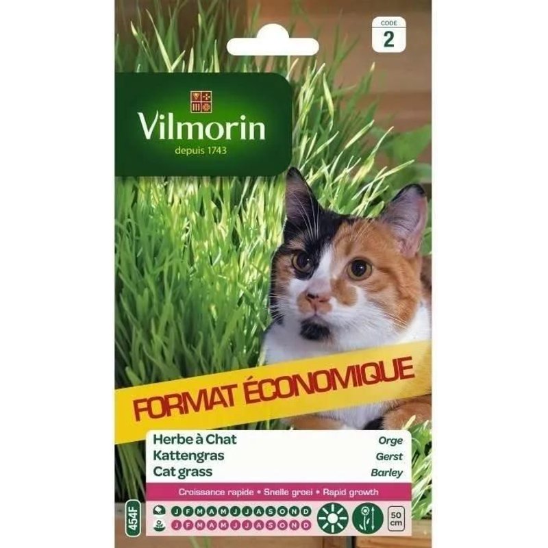 Vilmorin Sachet Graines D'herbe À Chat Orge