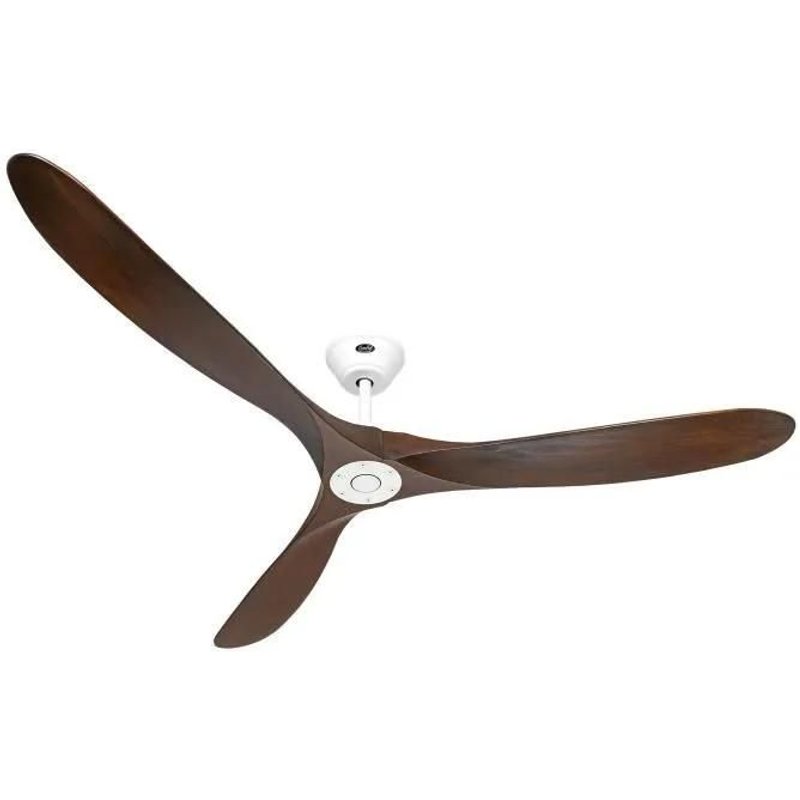 Véritable écho 180, fan sans