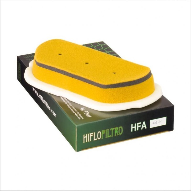 Filtre à air Hiflofiltro HFA4610