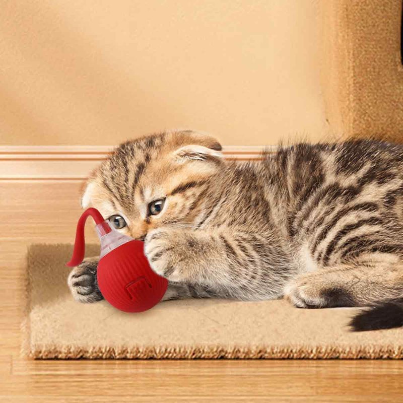 1 Boule De Chat Magique Rouge