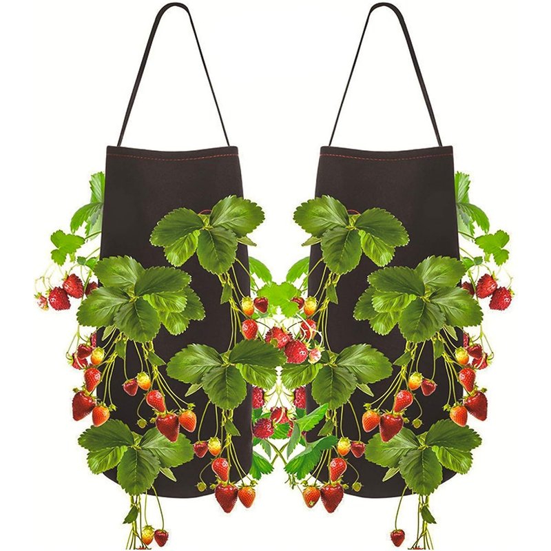 2pcs Sac De Plantation Pour Fraise, Sac De Plantation De Pomme De Terre , Sac Potager Avec La FenĂȘtre Et La PoignĂ©e Pour Des Fraises, Des Tomates, Des LĂ©gumes