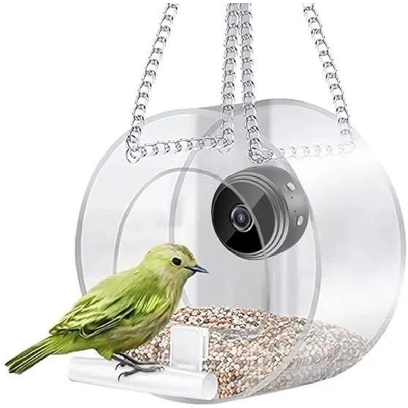 Mangeoire À Oiseaux Intelligente Suspendue Dans La Cour Extérieure Avec Caméra