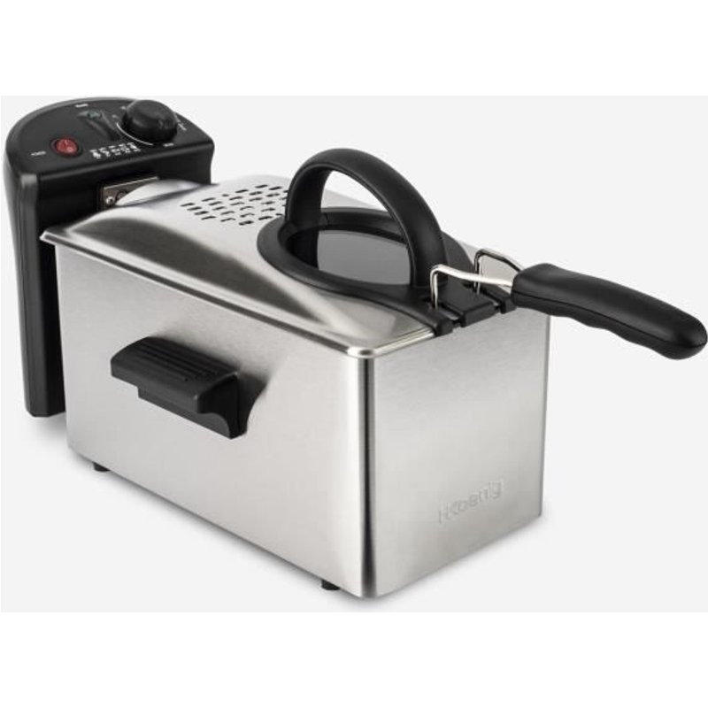 friteuse électrique pour des plats frits et croustillants