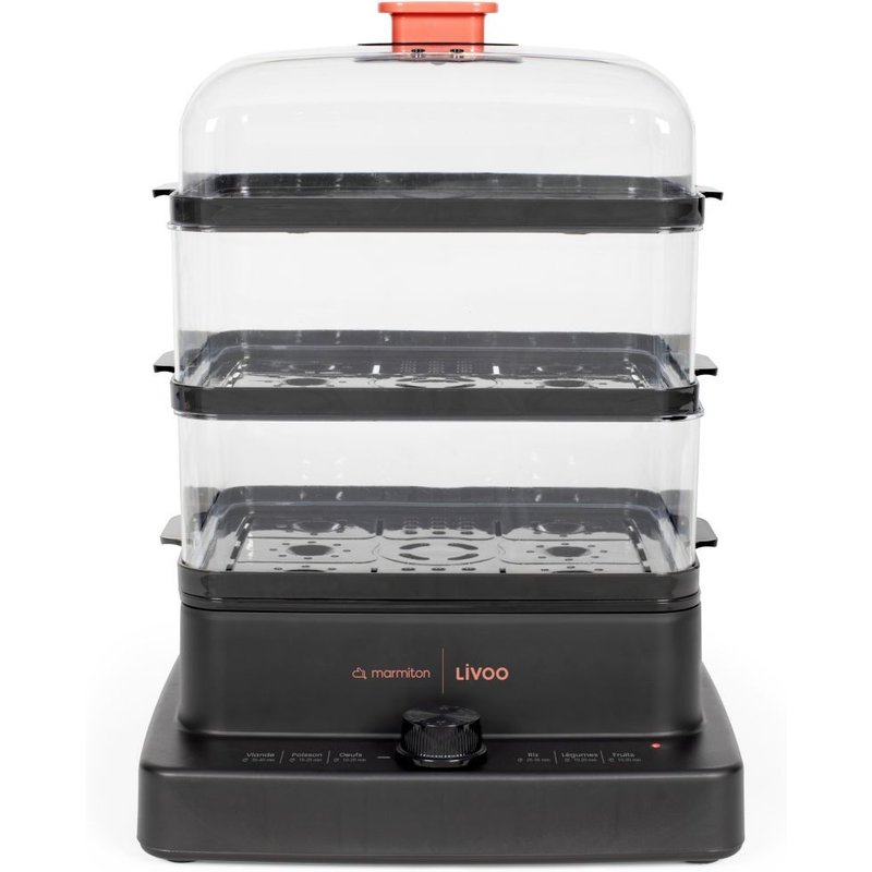 Cuiseur Vapeur LIVOO Doc300