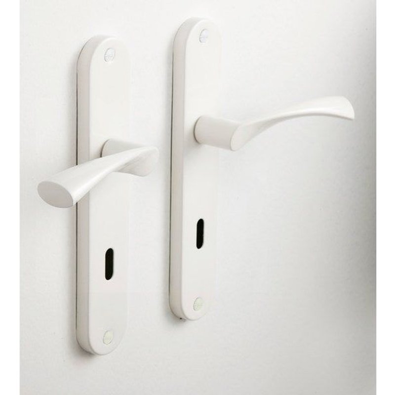 2 poignées de porte Anais entrée de clé CHAINEY, acier entraxe 195 mm Voir les détails du produit