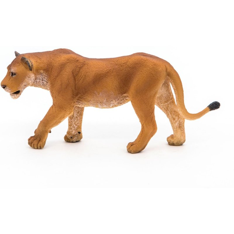 LA VIE SAUVAGE Lionne