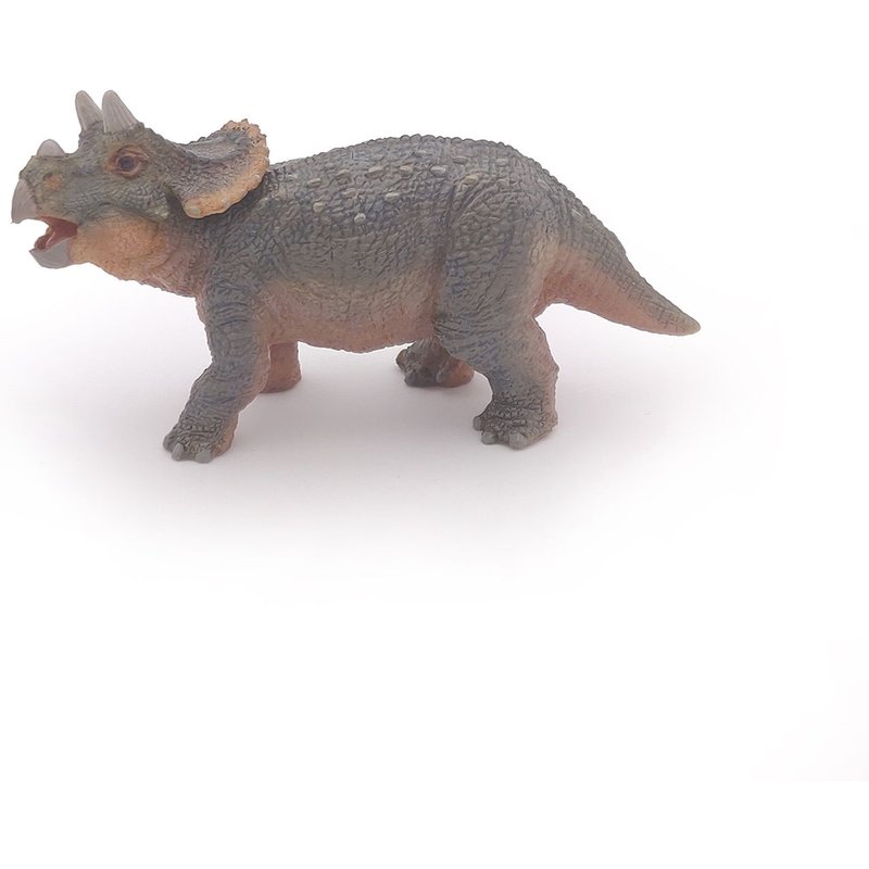 LES DINOSAURES Jeune tricératops