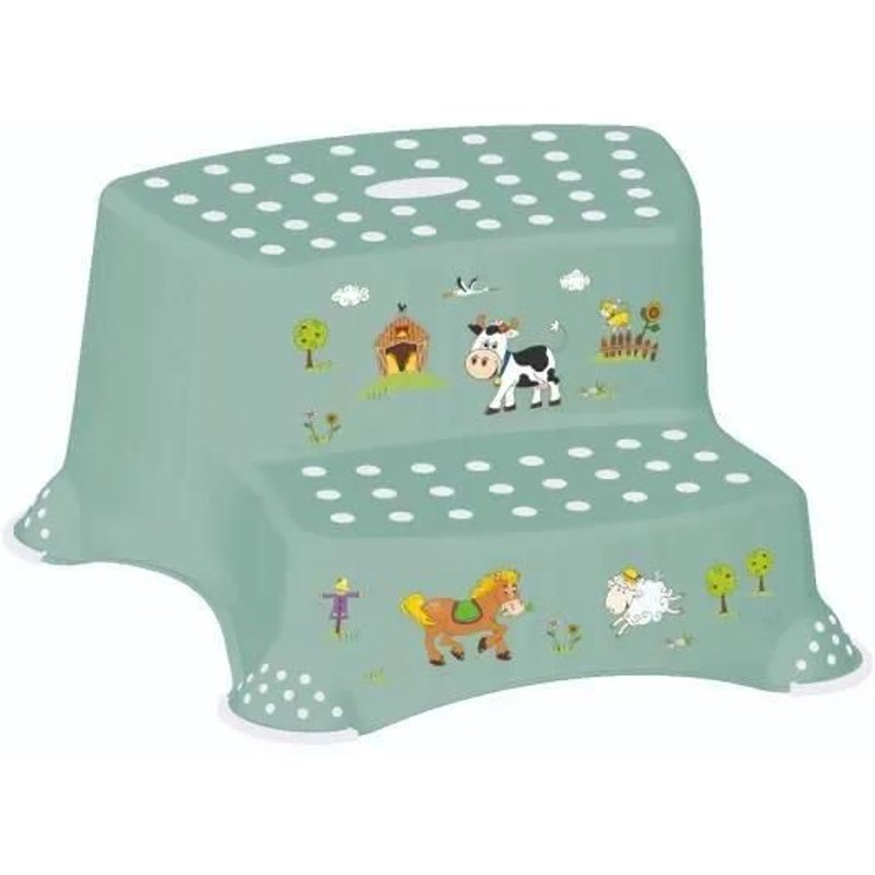 Double Marchepied Antidérapant