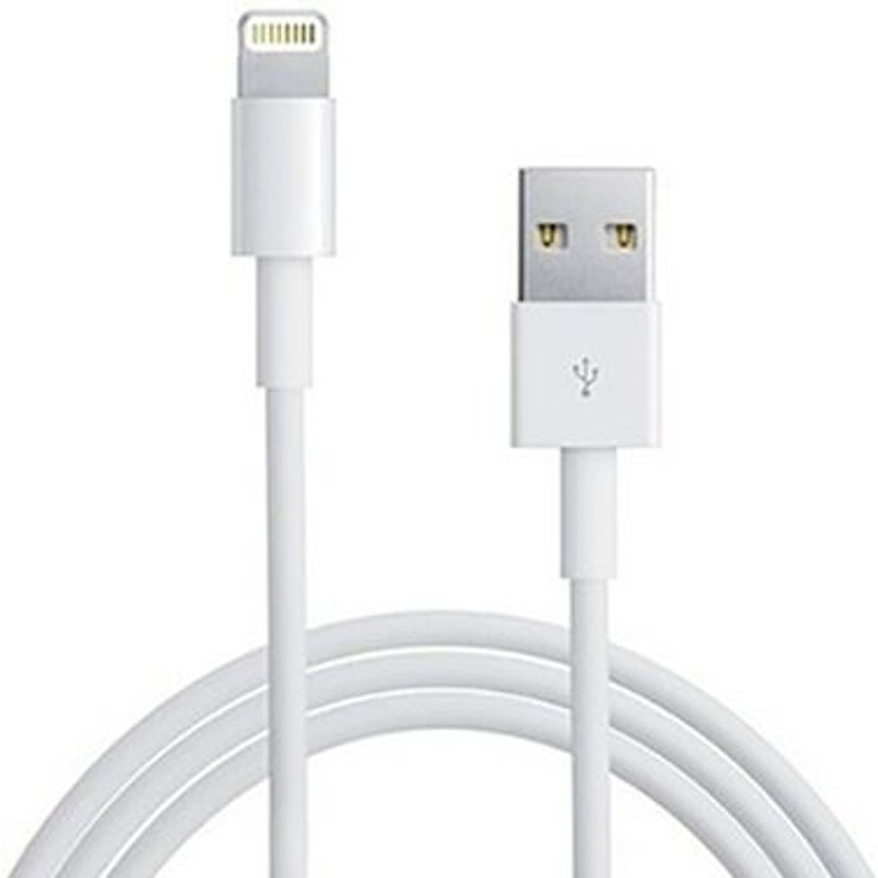 Chargeur iPhone USB 1m Câble de charge compatible iPhone 6, 7, 8, X, 11, 12, 13