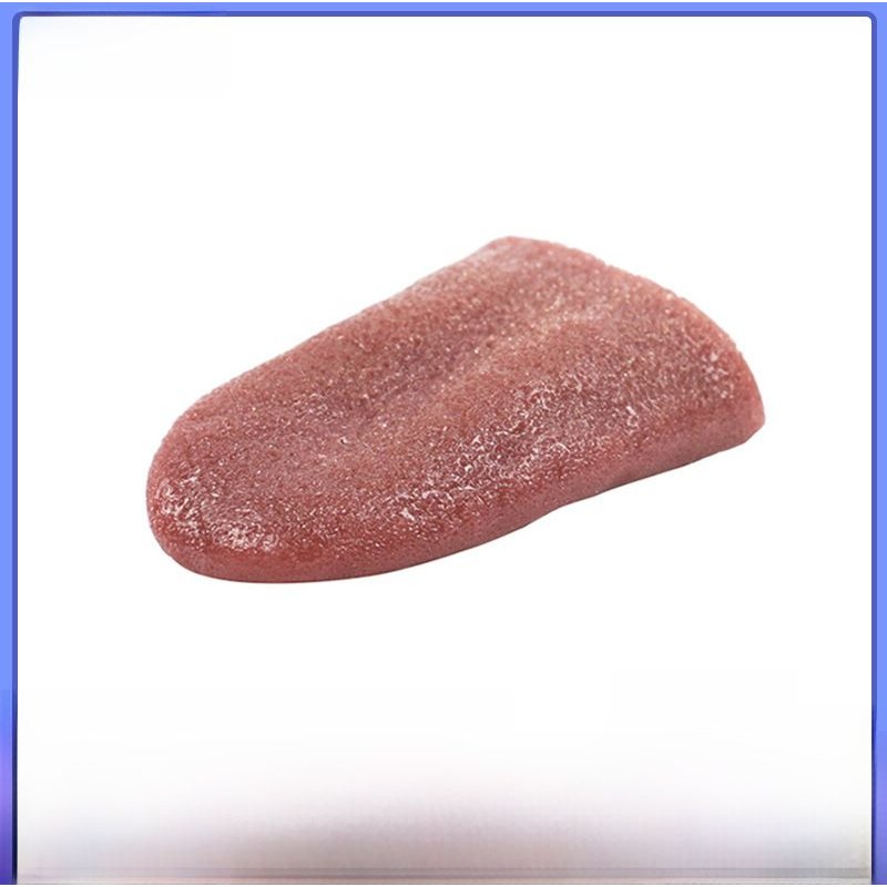 Fausse Tête De Langue Pour Tromper Les Humains Jouet D'magie Proche Scène Accessoire De Performance De Magie En Acier