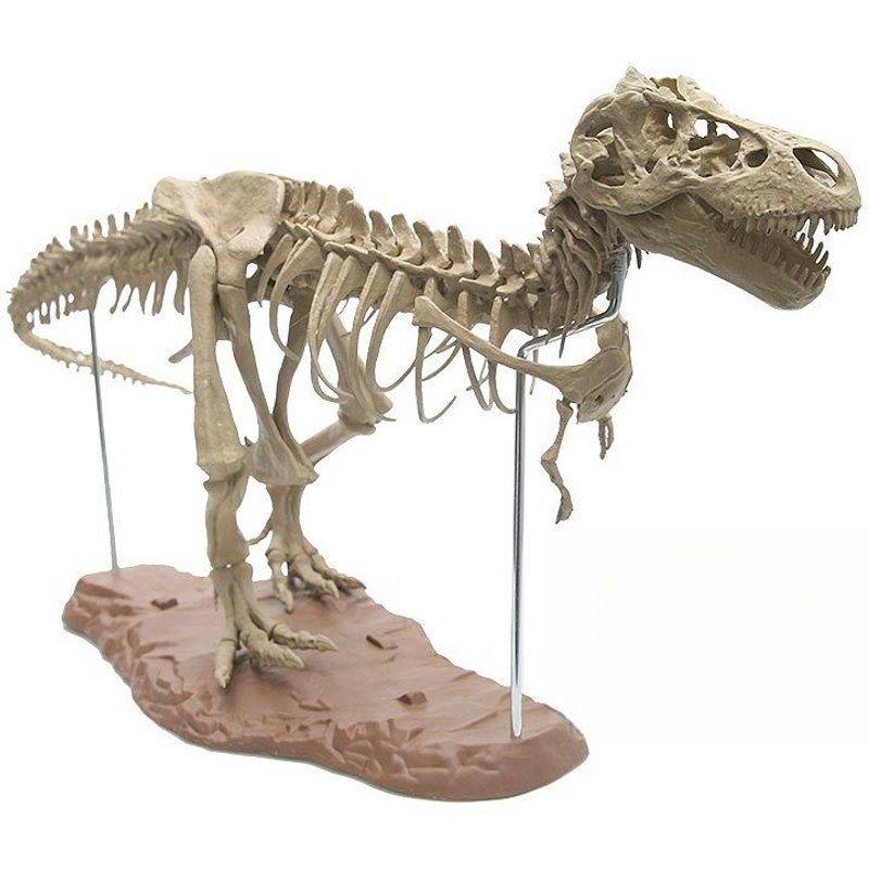 Jouet De Dinosaure En Pierre Minérale Modèle De Squelette De Dragon Majeur Même Que Sur Tiktok Ensemble D'assemblage Éducatif Pour Enfants Cadeau En Gros Couleur Neuve (Origine) Avec Boîte De Peinture/Colle Incluse