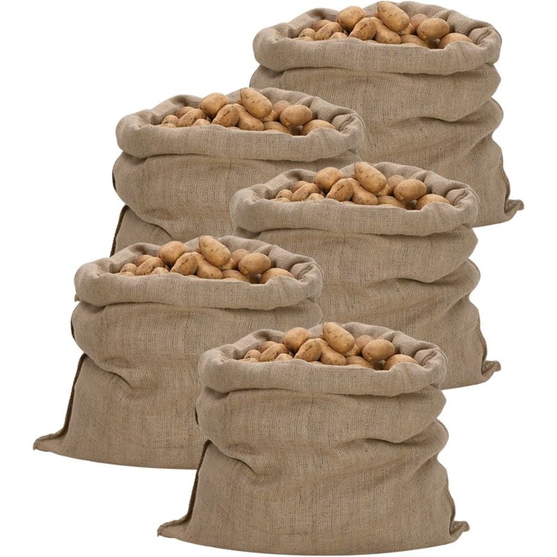 Vidaxl Sacs En Jute 5 Pcs 100x110 Cm 100 % Jute 340 G/M²