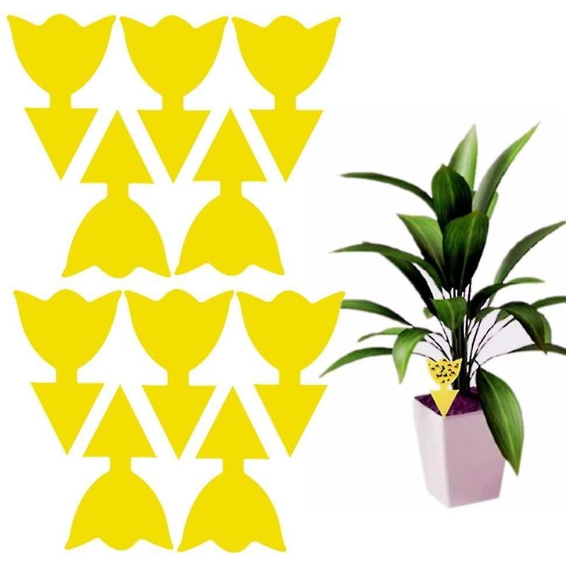 Pièges à mouches des fruits collants jaunes ¿ Anti-moucherons fongiques non toxiques pour plantes d'intérieur et d'extérieur ¿ Lot de 10
