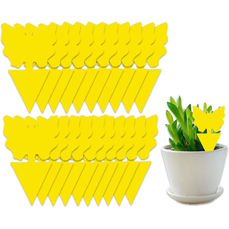 Pièges à insectes volants aux couleurs vives pour plantes d'intérieur et d'extérieur - Non toxiques, sans odeur, résistants aux UV et imperméables