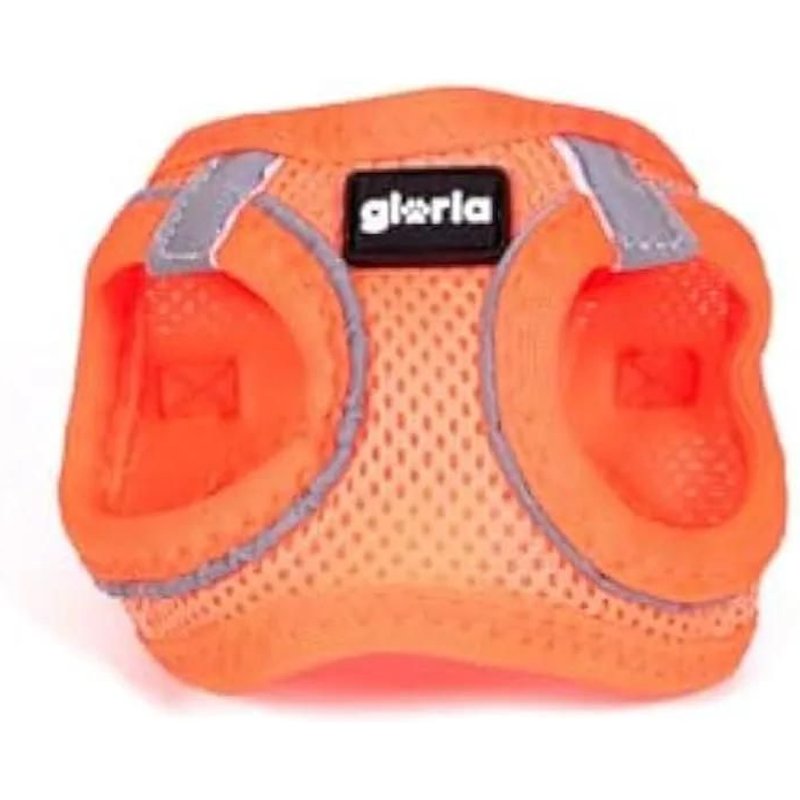 Harnais Pour Chien - Gloria - Trek Star - Taille Xs - Couleur Orange - Dimensions 15,16 X 1,73 X 19,77 Cm