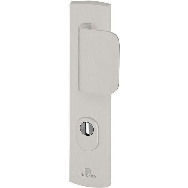 Ensemble poignée de porte aileron blindée sur plaque standard eMUST Bricard entraxe 195mm brossé argent