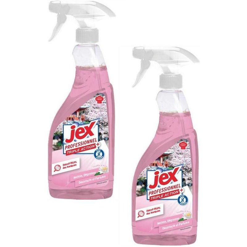 Jex Lot de 2 Pistolets 750 ml Triple Action prĂȘt Ă l'emploi Souffle d'Asie