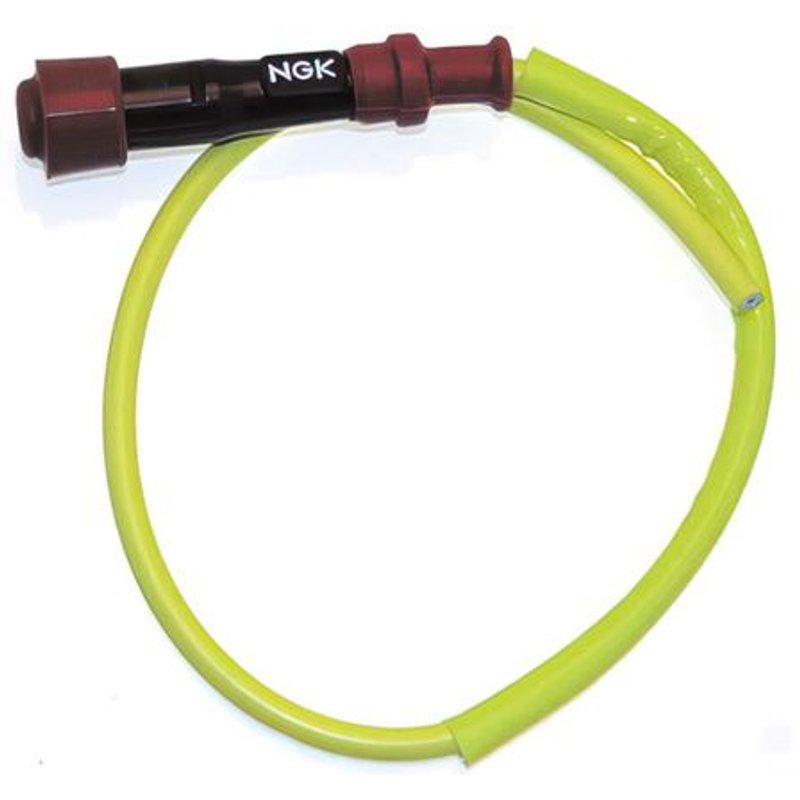 Antiparasite racing NGK SY11