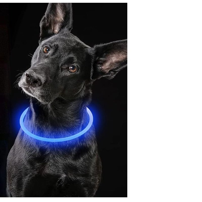 (Bleu) 1 Pièce Collier Lumineux Pour Chien, Collier Led Rechargeable Par Usb, Coupe À N'importe Quelle Taille, Collier De Sécurité Pour Petits, Moyens Et Grands Chiens.