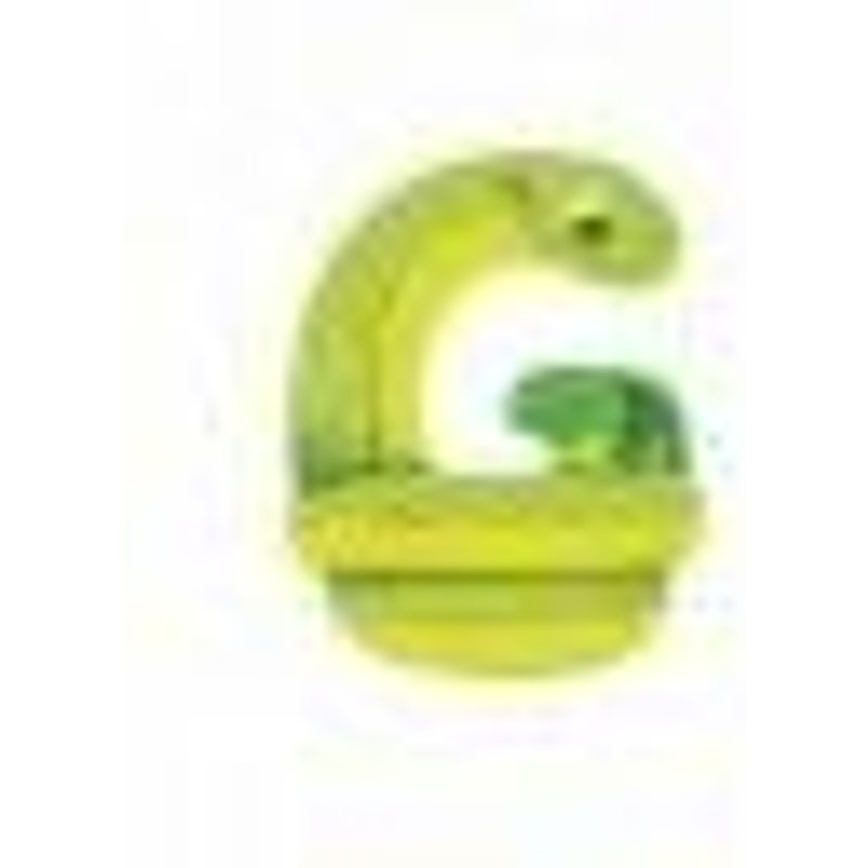 Lettre Bois G Vert L'alphabet - Moulin Roty