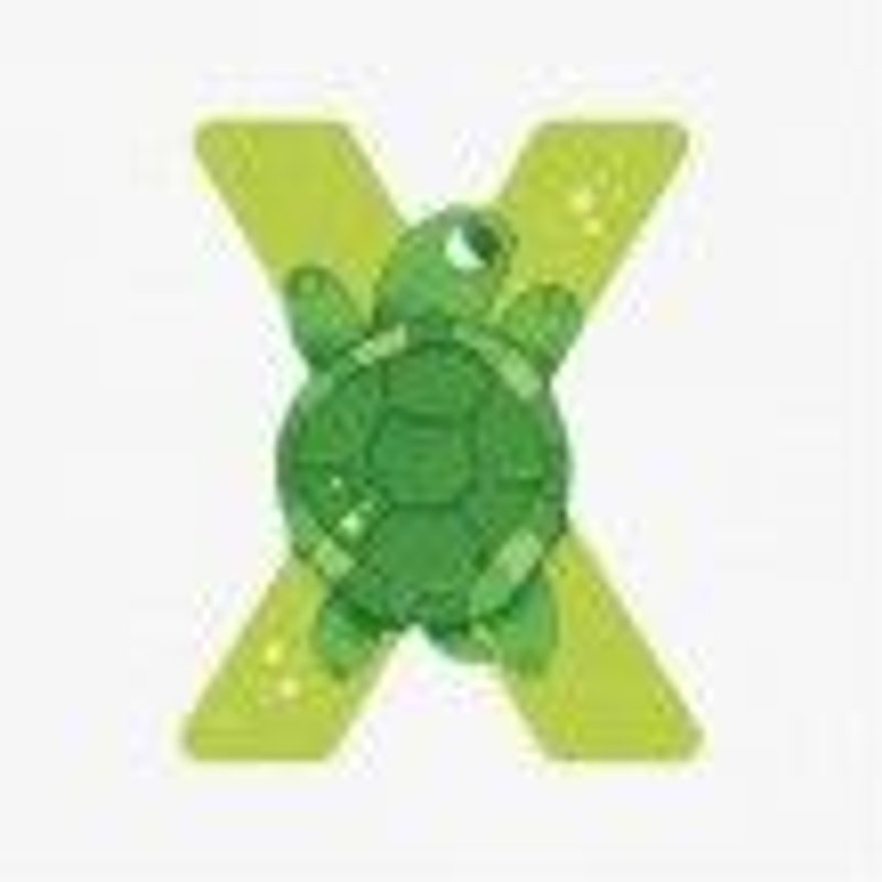 Lettre Bois X Vert L'alphabet - Moulin Roty