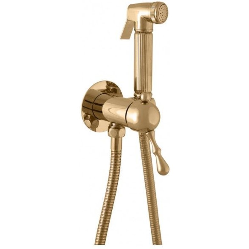 Mitigeur bidet, toilettes LABE à encastrer avec douchette en laiton doré--