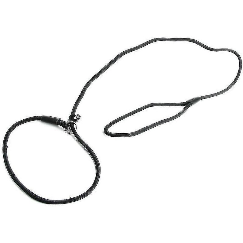 Collier Et Laisse En Nylon Pour Chien, Style Millan, Noir Chaud-Haoyi