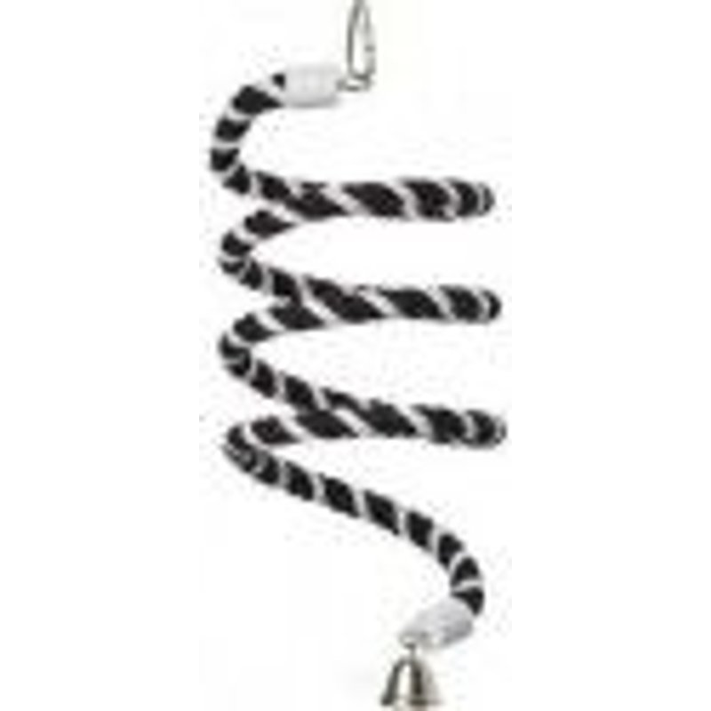 Corde Spirale À Suspendre Pour Bec Droit Et Petite Perruche